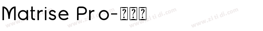 Matrise Pro字体转换